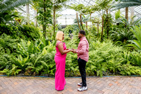 Eme + Bethel Proposal Garfield Park Conservatory